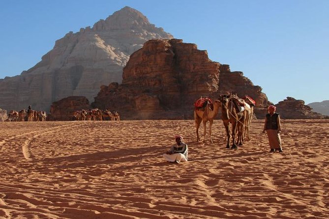 One Day Tour to Wadi Rum From Amman - Value for $148 Per Person, What You Are Paying For
