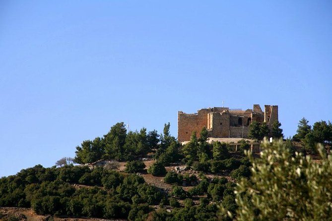 One Day Trip to Jerash & Ajloun Castle - Optional local guides: when it’s worth paying extra