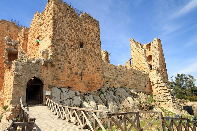 One Day Trip to Jerash & Ajloun Castle - Cardo Maximus and temples: where you feel the city’s rhythm