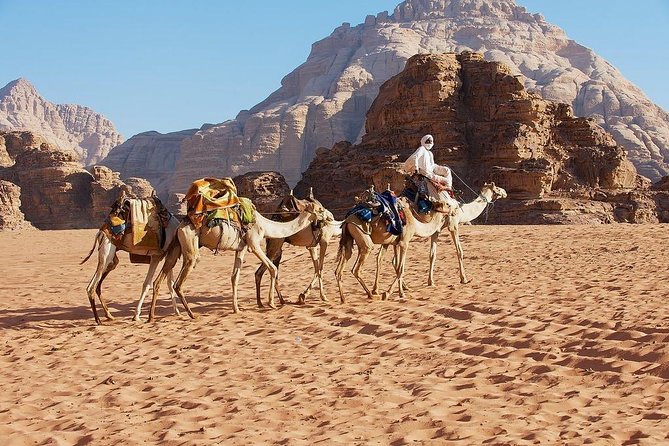 Petra and Wadi Rum Day Trip from Amman - Why This Petra and Wadi Rum Day Trip From Amman Feels Efficient