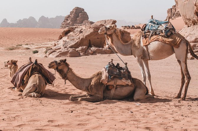Petra and Wadi Rum in One Day | The Jordanian Mappers - Petra Free Time in Wadi Musa: Use It for the Right Kinds of Stops