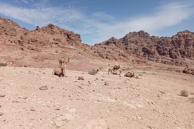 Petra Back-Road Trail and Hike - Key highlights to expect on this back-road Petra hike