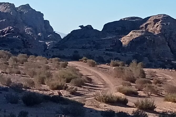 Petra Back-Road Trail and Hike - Street of Facades: easy access tombs and chambers