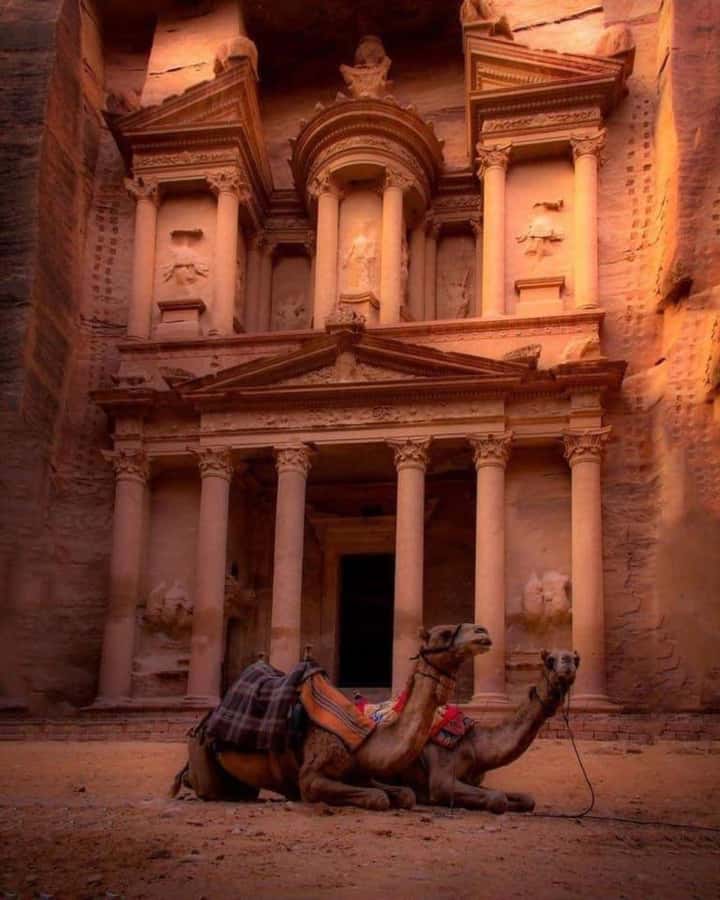 Petra & Dead Sea Private day tour - The Day-Trip Rhythm: What Each Part Feels Like