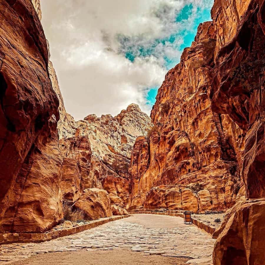 Petra Full-Day Private or Group Tour From Amman - The ride details that make a long day actually manageable