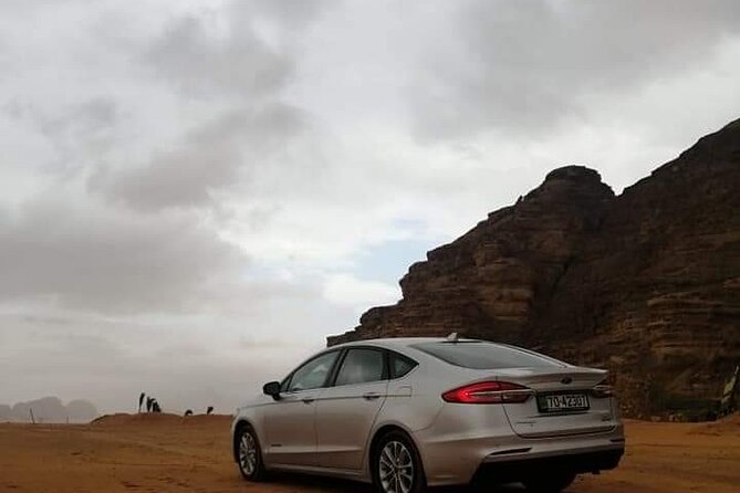 Petra Full Day Tour - Price and value for up to four people