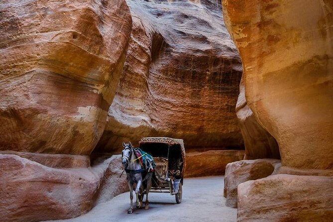Petra Private Full-Day Tour - Who this private Petra full-day is best for
