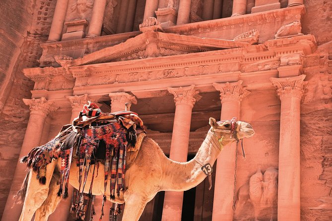 Petra Shore Excursion from Aqaba Port - Quick highlights for your Petra day