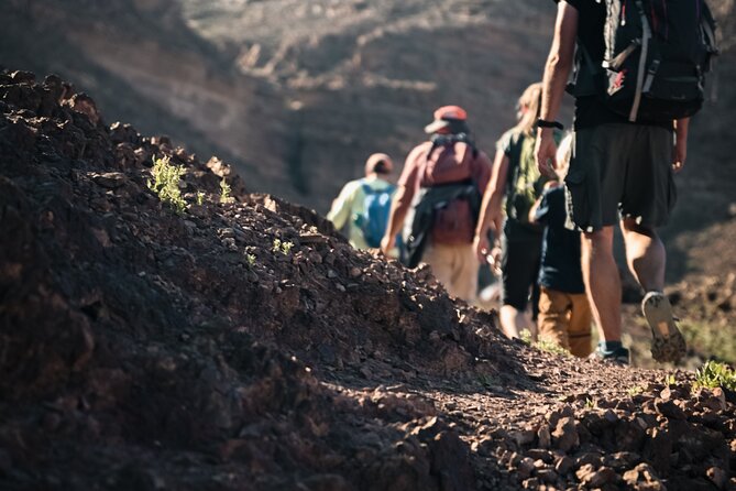 Petra to Wadi Rum Trek - 6 Days - Price and logistics: what $995 buys you, and what you still need