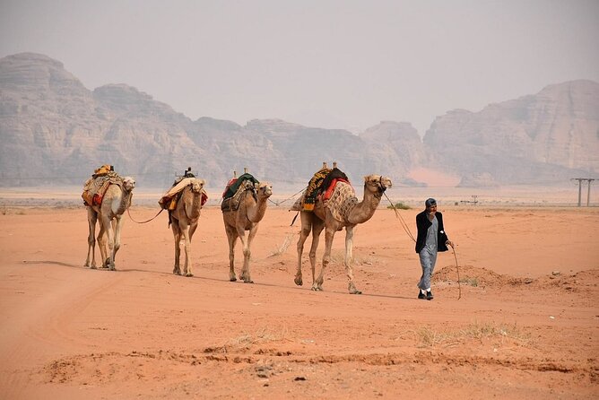 Petra & Wadi Rum Full-Day Tour from Amman or Airport - Petra first: entering the Siq and finding the Treasury