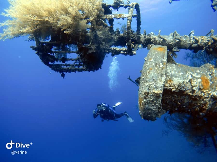 Pivate scuba diving in the Red Sea of Aqaba - Quick hits before you go