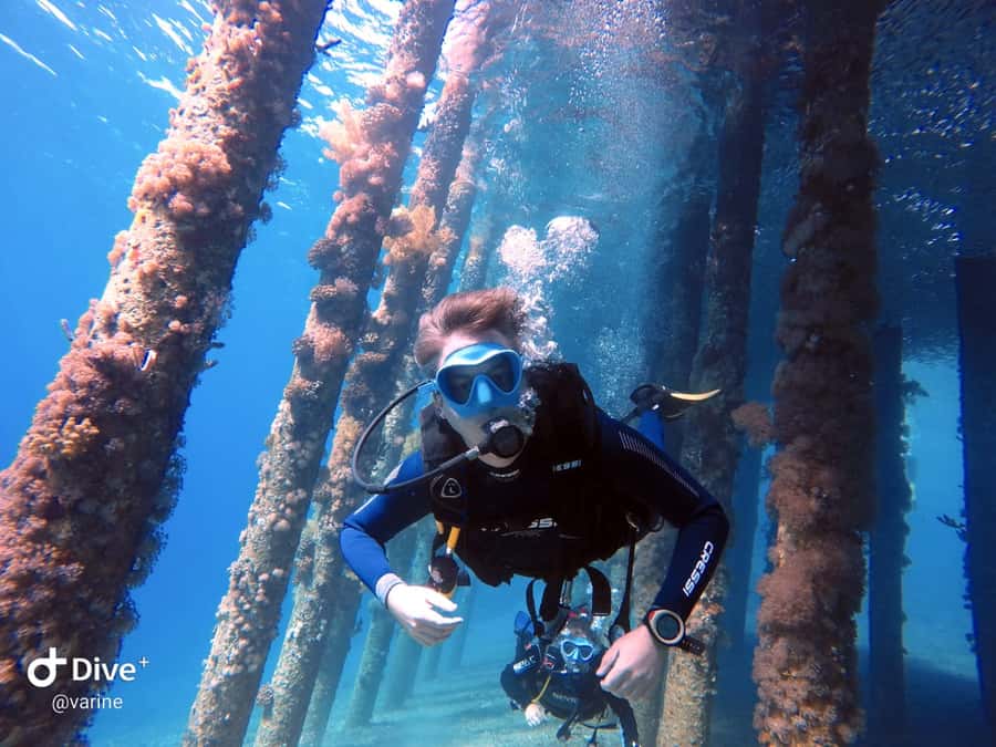 Pivate scuba diving in the Red Sea of Aqaba - If you’re a beginner, your first underwater breath comes with instruction