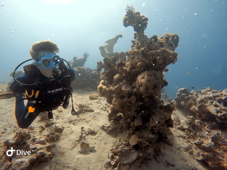 Pivate scuba diving in the Red Sea of Aqaba - Equipment, guidance, and safety you can actually feel
