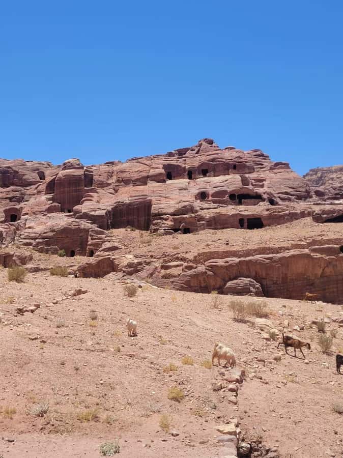 Private 3-Hour Guided Tour of Petra with Hotel Pickup . - Entering Petra: visitor center to the Siq to the Treasury