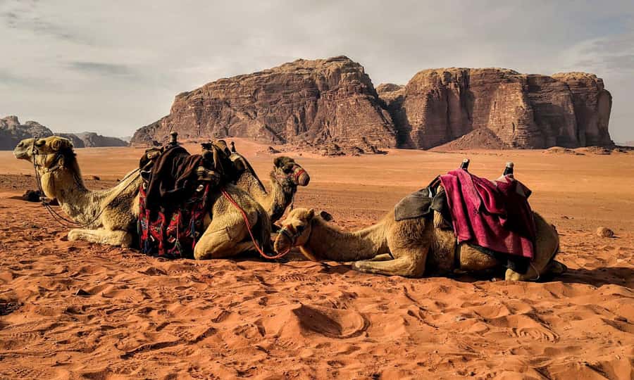 Private 3-Hour Guided Tour of Petra with Hotel Pickup . - Free time after the guided portion: use it smart