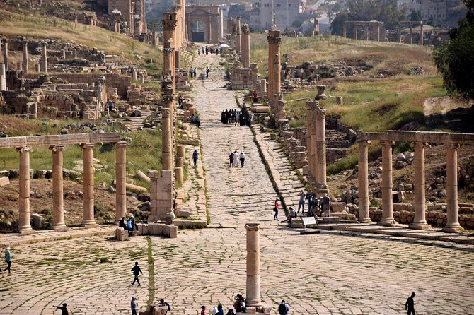 Private Day Trip to Jerash, Umm Qais and Ajloun Castle from Amman - The Driver-Guide Dynamic: What You’re Paying For, and What You Might Add