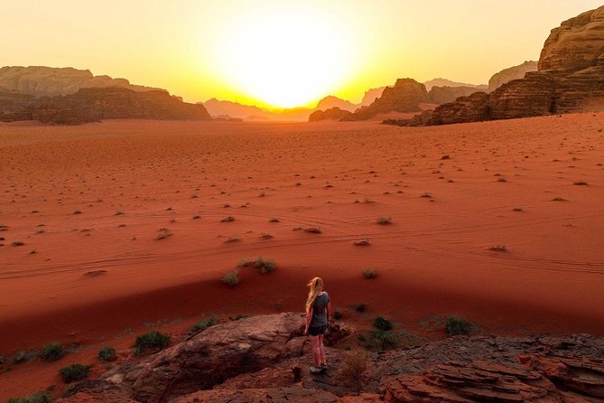 Private Day Trip to Petra and Wadi Rum with Lunch from Aqaba City - Price and logistics: is $325 good value?