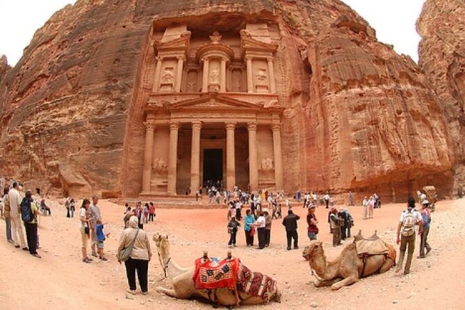 Private Day Trip to Petra From Amman - Price and value: why $88 can make sense, and when it might not