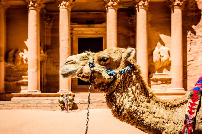 Private Full Day Tour from Amman to Petra City - Choosing your Petra pace: long enough to see, not long enough to wander forever