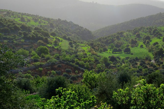 Private Full Day Tour to Umm Qais and Ajloun from Amman - Value and what your money covers at $120 per person