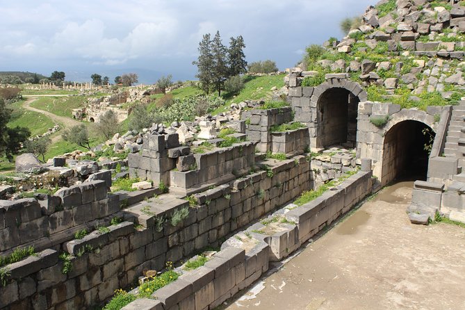 Private Full Day Tour to Umm Qais and Ajloun from Amman - Comfort and practical tips that make the day easier
