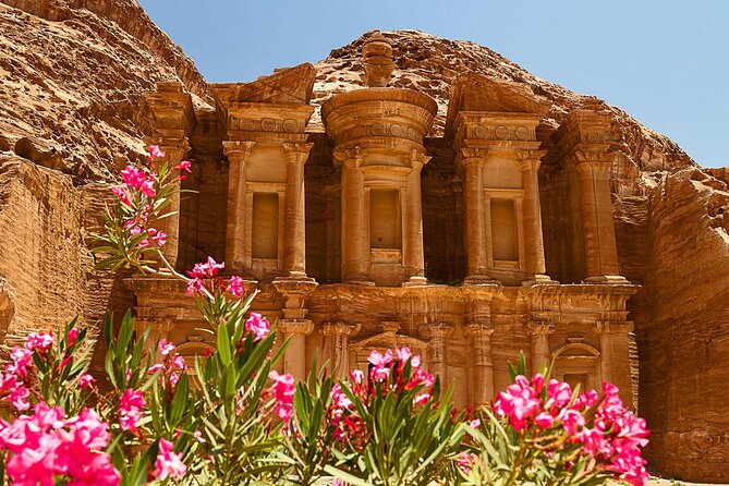 Private Full-Day Trip To Petra And Wadi Rum - The box lunch picnic in Petra: a value add that saves time