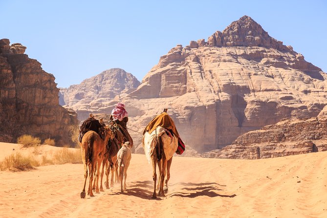 Private Full-Day Wadi Rum and Petra Tour from Aqaba - Jordan Pass and entrance fees: how to avoid paying twice