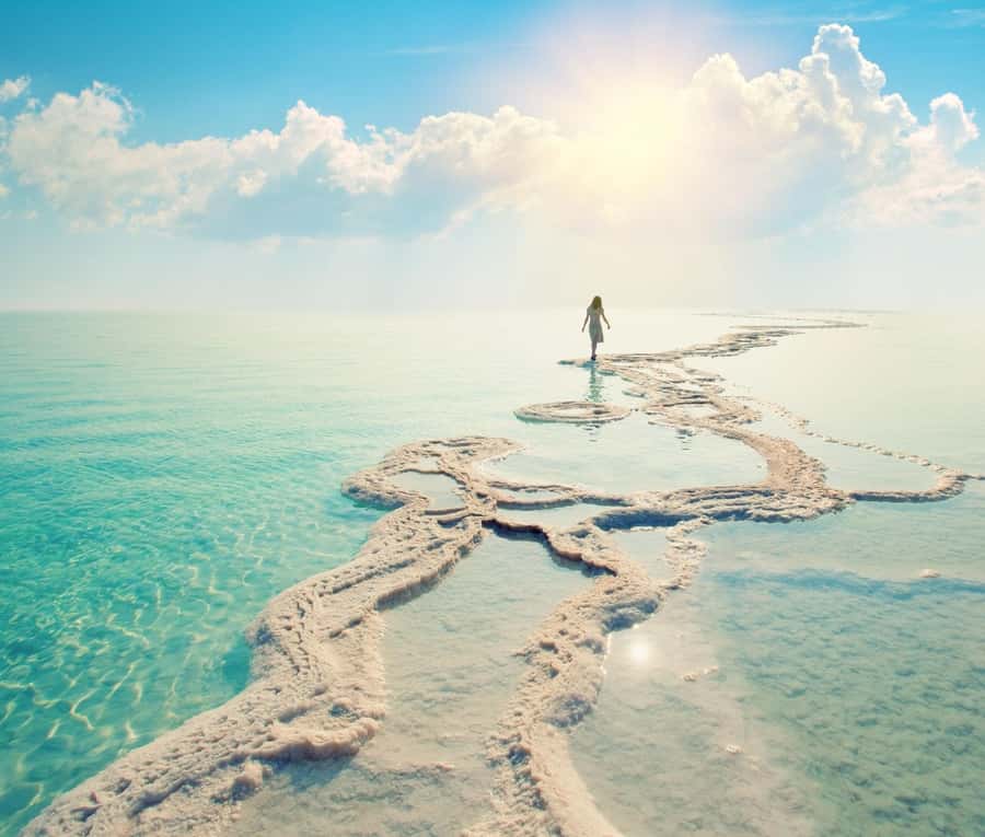 Private/group: Dead sea, Nebo , Madaba and baptism site tour - Dead Sea time at the resort, floating, mud, and lunch
