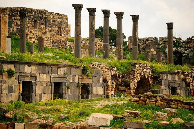 Private Guided Umm Quais and Jerash tour with lunch - Jerash ruins with a guide: the Hippodrome, theatres, temples, and colonnaded streets