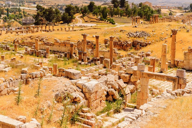 Private Half Day Jerash and Amman Sightseeing Tour - The Oval Plaza, the Hippodrome, and the Roman streets that still feel planned