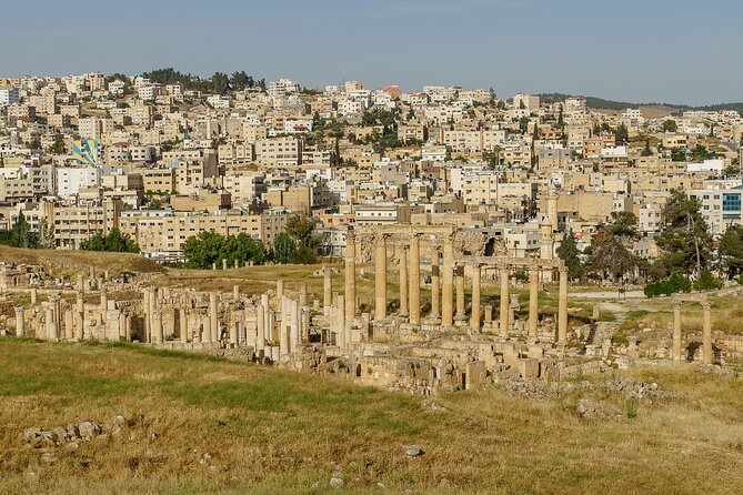 Private Half Day Tour in Jerash From Amman - Drivers who bring the ruins to life, like Yousef and Nasser