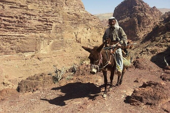 Private Half-Day Tour of Petra with Lunch - Why the Bedouin Guide Experience Changes Everything