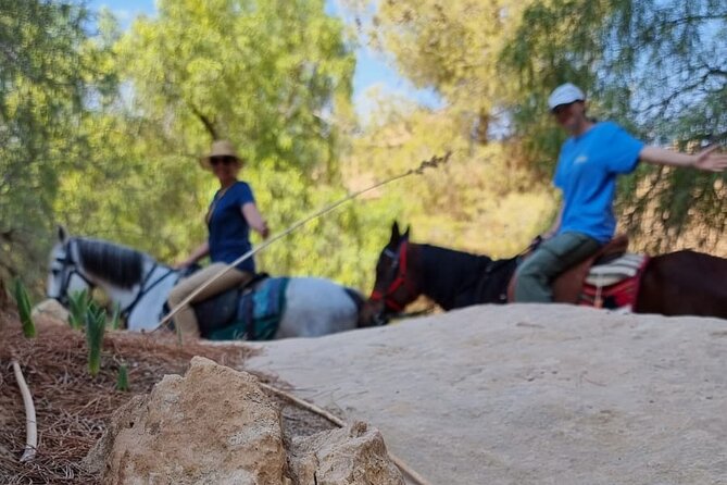 Private Indiana-Jones Archeological Trail Tour - Stop 2: Qasr al-Bint, the Nabataean temple, and Aretas IV seats