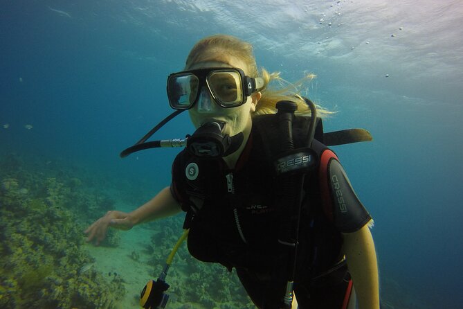 Private Intro Scuba Dive – Aqaba Coral Reefs - The Underwater Try Session in the Red Sea (Up to 12 Meters)
