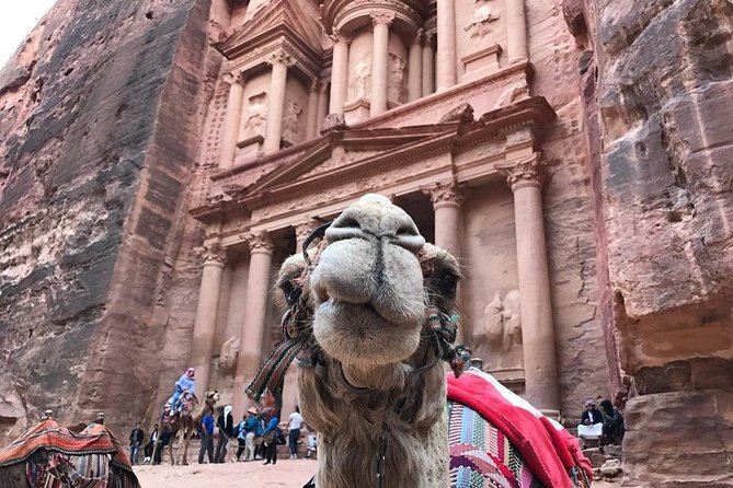 Private Petra Full-Day Trip from Aqaba City - Timing, Weather, and the Reality of a 12 to 14 Hour Day
