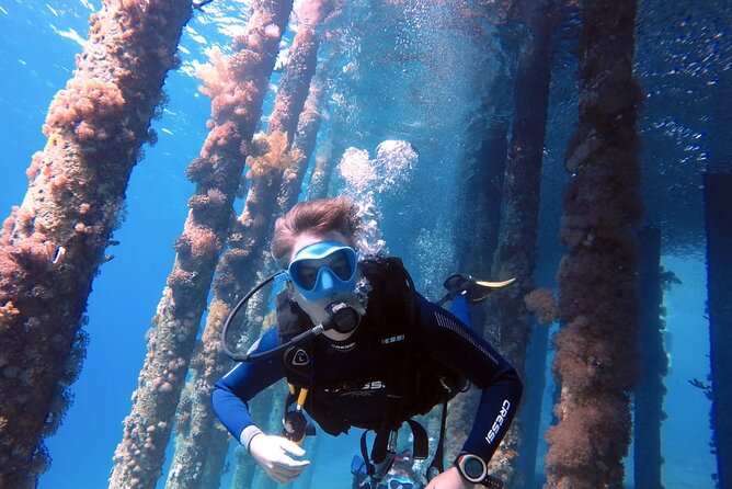 Private Scuba Diving Adventure in the Red Sea of Aqaba - Key takeaways before you book