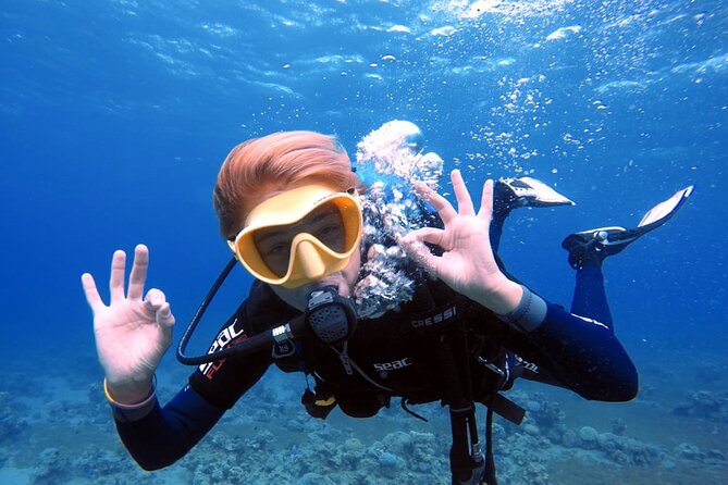 Private Scuba Diving Adventure in the Red Sea of Aqaba - Why Aqaba shore scuba works so well for both first-timers and certified participants