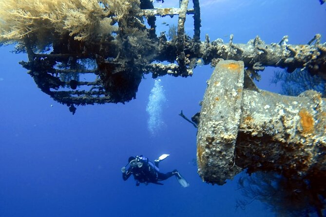 Private Scuba Diving Adventure in the Red Sea of Aqaba - Beginner training in shallow water, then coral and wreck options