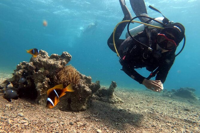 Private Scuba Diving Adventure in the Red Sea of Aqaba - What you get included: equipment, underwater photos and videos