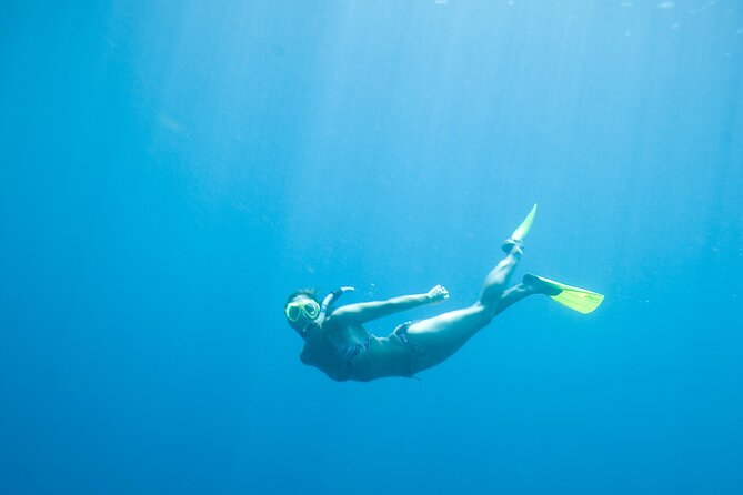 Private Snorkeling Experience in Aqaba Red Sea - What you will see in Aqaba’s Red Sea: wrecks, fish, and the joy of close looks
