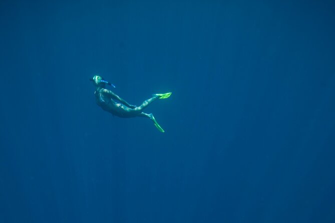 Private Snorkeling Experience in Aqaba Red Sea - How the guide photography works, and why it matters more than you think
