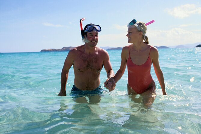 Private Snorkeling Experience in Aqaba Red Sea - Equipment quality and the small comfort details that earn trust