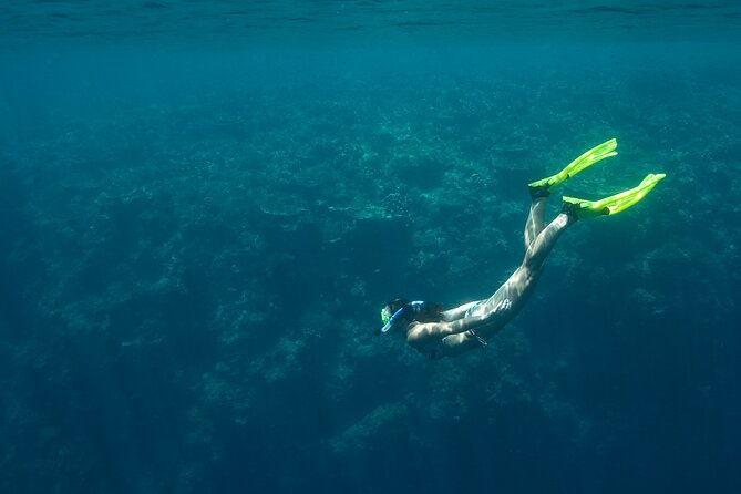 Private Snorkeling Experience in Aqaba Red Sea - Who this private snorkeling session fits best