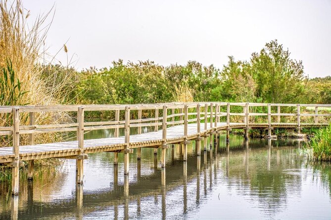 Private Tour of Desert Castles Eastern Jordan with optional Azraq Wetland Visit - Key things to know before you go