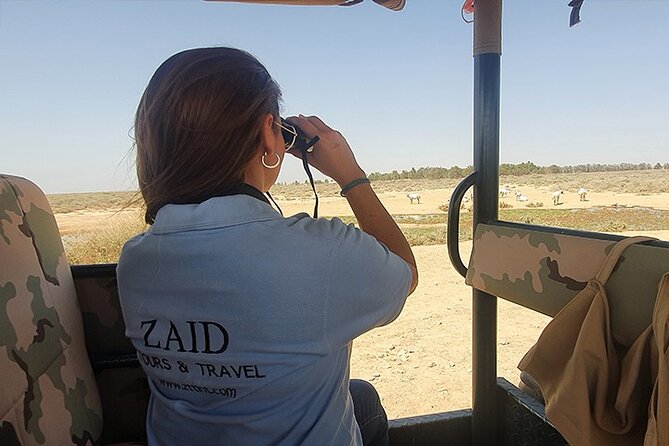 Private Tour of Desert Castles Eastern Jordan with optional Azraq Wetland Visit - Stop 1: Qusayr Amra, UNESCO frescoes and desert palace life
