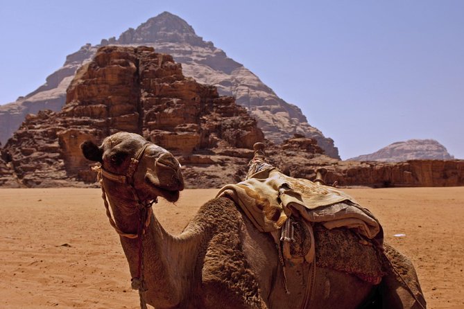 Private Tour of Wadi Rum Star Wars from Aqaba - Bedouin tent mint tea: why this pause matters