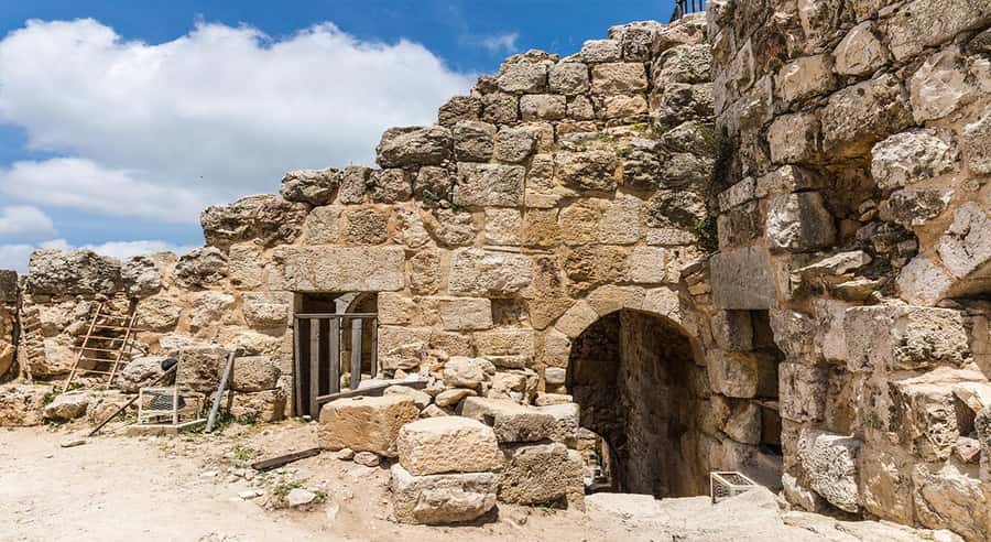 Private Tour to Jerash and Ajloun from Amman - Making Your Own Time Count at Jerash (Without Getting Lost)