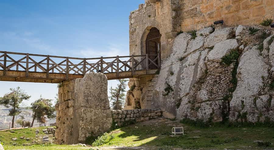 Private Tour to Jerash and Ajloun from Amman - Lunch Option and Food Reality in Jordan