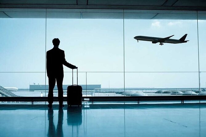 Private Transfer from Amman Airport QAIA to Your Hotel in Amman - Private Pickup at Queen Alia Airport, Without Guesswork