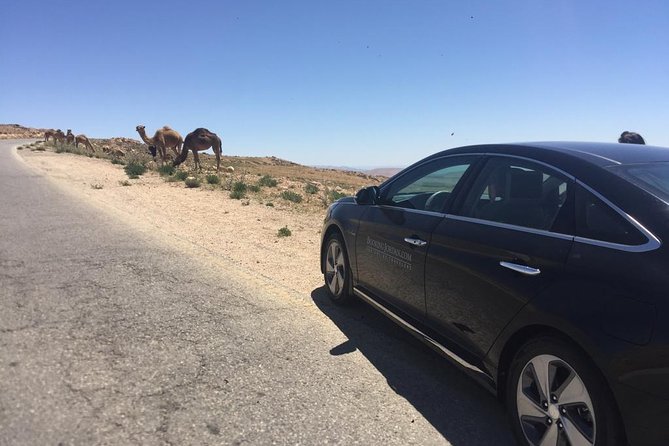 Private Transfer from Amman to Petra, Wadi Musa - Arriving in Wadi Musa: Starting Your Petra Day in the Right Place